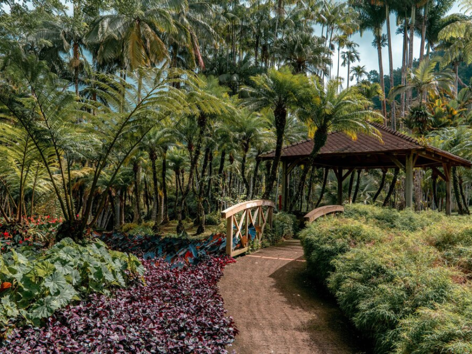 1. Jardin de Balata, Martinique