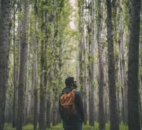5 conseils pour être un voyageur écoresponsable