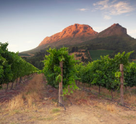 Destination: Afrique du Sud