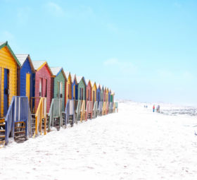 Destination: Afrique du Sud