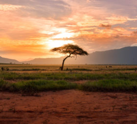 Nos conseillers visitent le Kenya