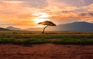 Nos conseillers visitent le Kenya