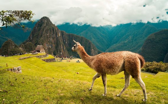Nos conseillers visitent le Pérou