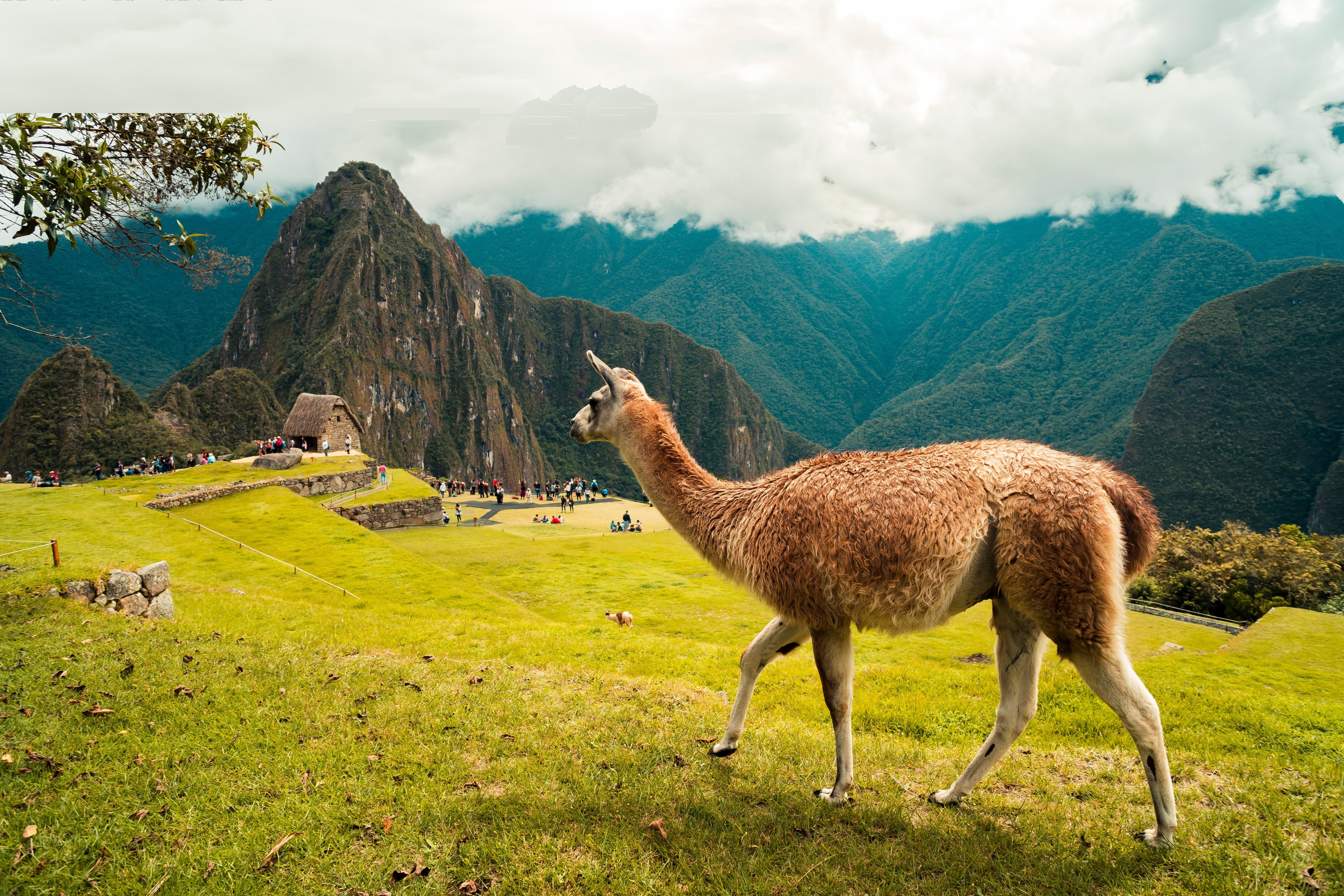 Nos conseillers visitent le Pérou