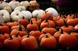 SPÉCIAL HALLOWEEN