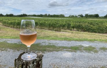 La route des vins dans les Cantons-de-l’Est